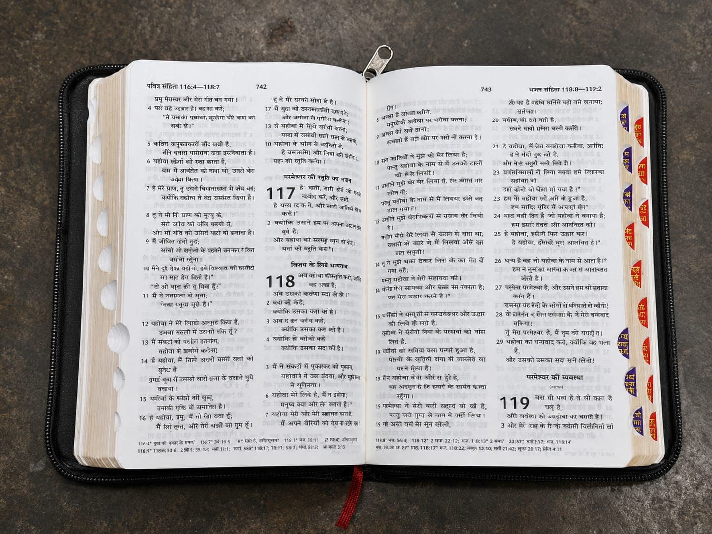 Bibles